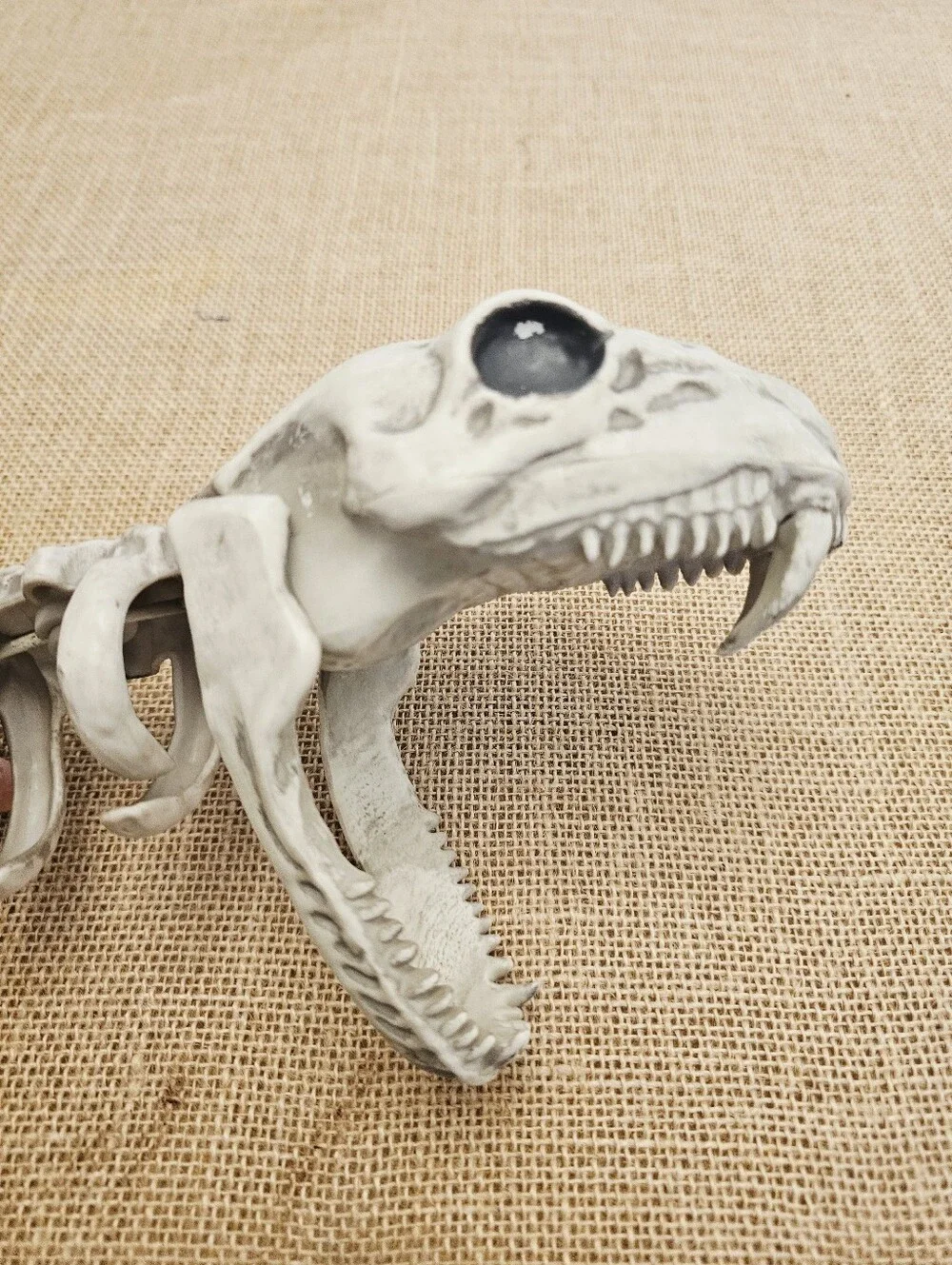 6 Foot Skeleton Snake Halloween Macabre Decor